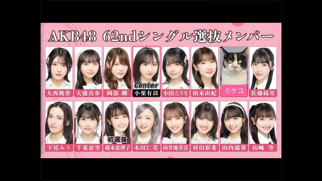 もしも選抜メンバーにミケコがいたら…　　　AKB 선발 멤버 (임시)　　　#cat 　#もしも…