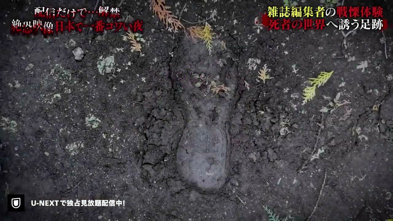 【一部無料公開】#3 恐怖の職業怪談 誰もいないホストクラブに潜む謎の女性『配信だけで…解禁  絶恐映像 日本で一番コワい夜』｜U-NEXTで独占配信！