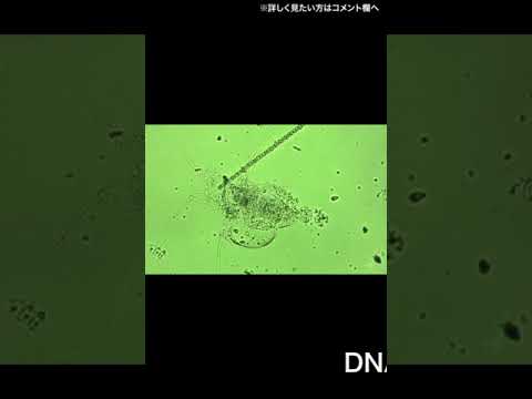 海洋微生物が地球環境を変える#社会人教育#リカレント#東京大学#エクステンション#As-Lab #八木亜希子#研究者#面白い研究#データサイエンス#インクルーシブ#サーキュラーエコノミー