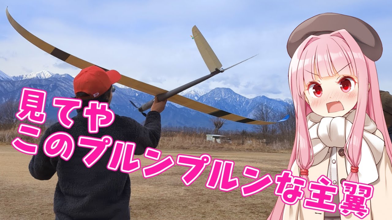 3Dプリントグライダー RISE 2号機