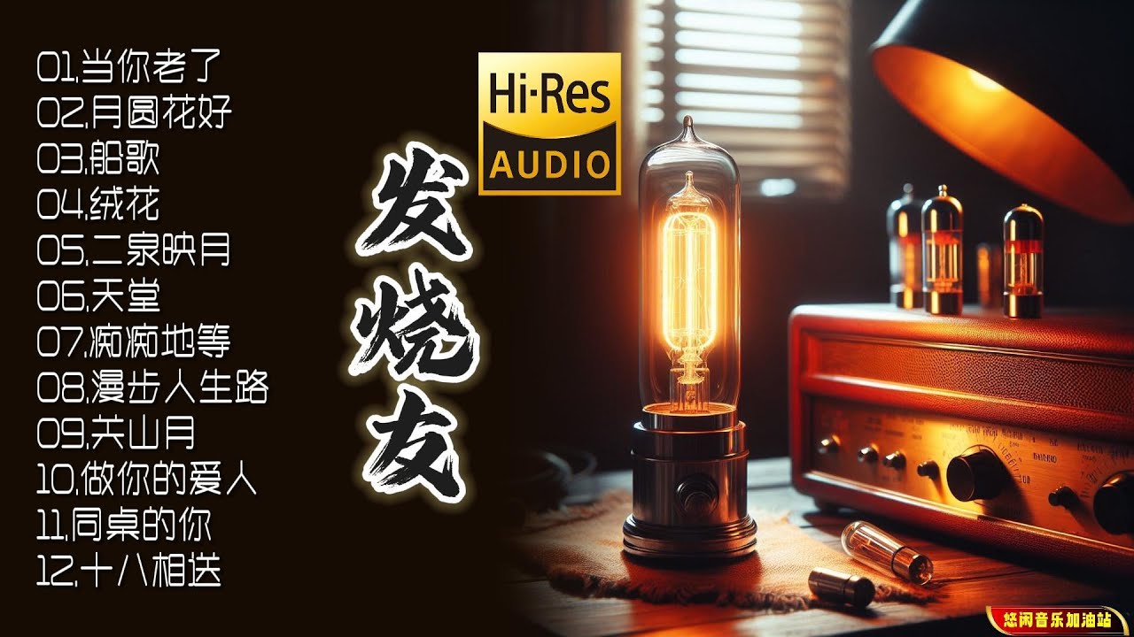 专为发烧友定制的发烧碟，音质非凡，让你感受音乐的无限魅力!