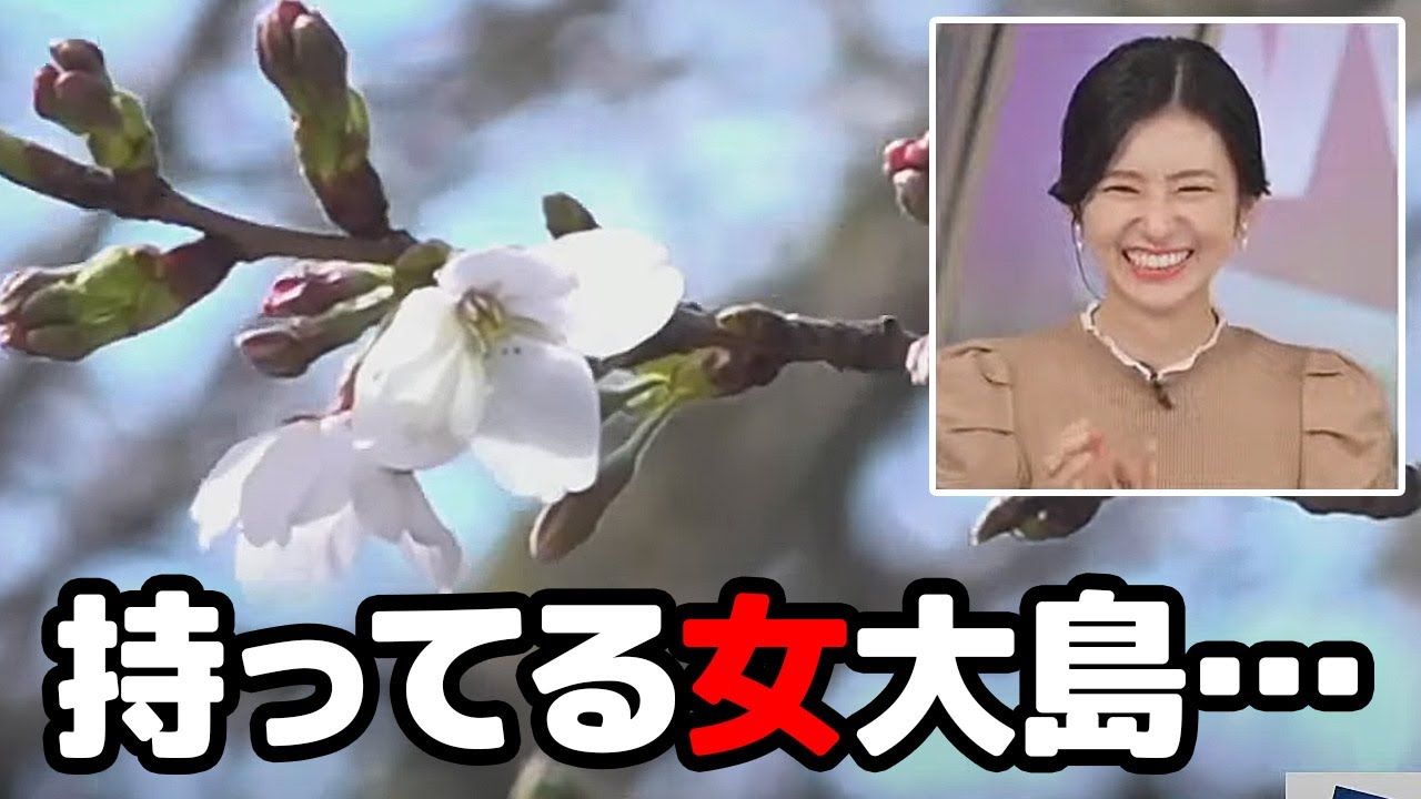 【大島璃音】久々のアフタヌーン担当で見事桜開花宣言を引き当てる持ってるお天気キャスター