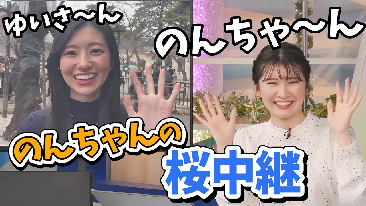 【駒木結衣・大島璃音】のんちゃんお弁当作り配信後に靖国神社の桜標本木に行って中継をしてくれる【ウェザーニュース切り抜き】