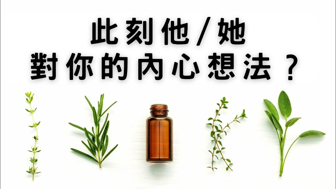 《塔羅測驗》此刻他/她對你的內心想法？ 關係狀況？