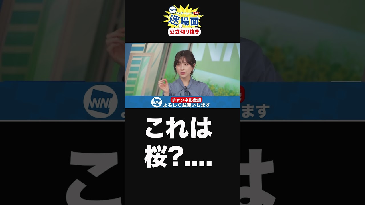 【公式切り抜き】今週の迷場面#shorts 　#ウェザーニュース  #桜　#松雪彩花
