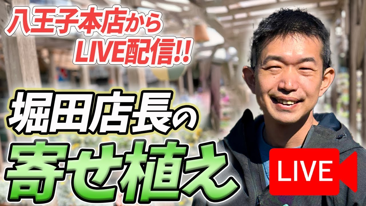 《生配信！》3月29日 堀田店長の寄せ植えをLIVEにてご紹介！八王子本店からお届けします！