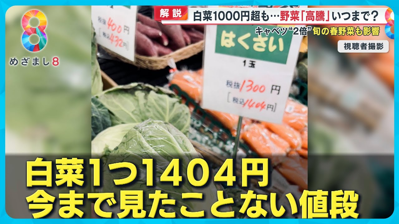 【食卓困った】白菜1000円超キャベツは2倍！？野菜高騰いつまで… スーパーアキダイ社長生出演 【めざまし８ニュース】