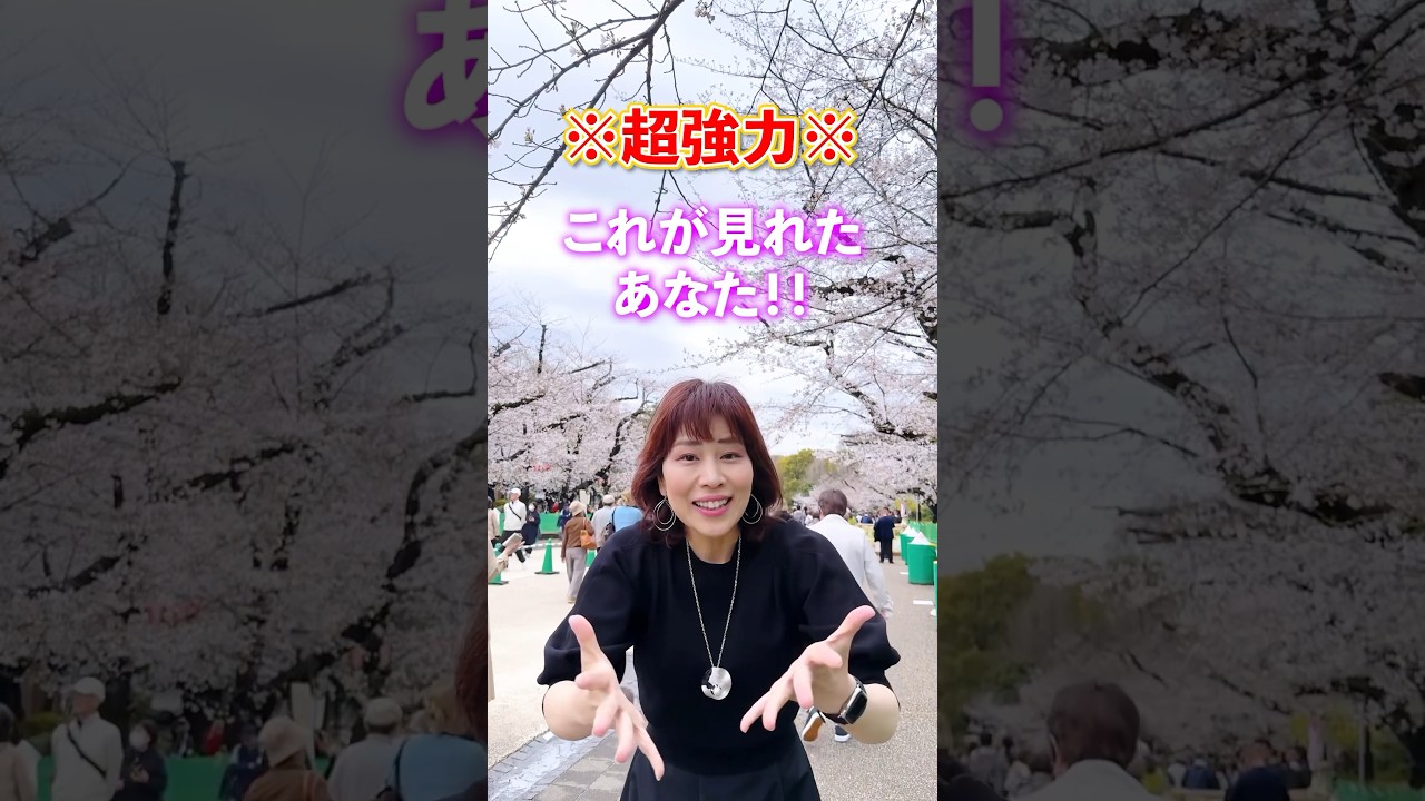 超強力⚠️この春🌸奇跡的な幸運が訪れる🌸波動を送ります🎁 #叶う  #引き寄せ #上野 #桜