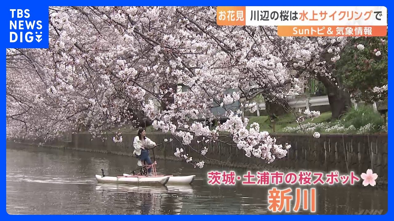 「贅沢な時間」水上自転車に乗り“川の上”からお花見　茨城県土浦市｜TBS NEWS DIG