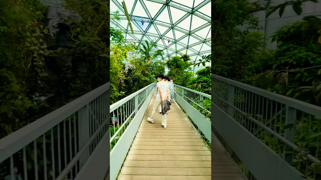 新宿にある平和な植物園へ！#shorts #自然 #海 #旅行