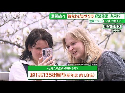 サクラ満開 続々と「経済効果1兆円超」　訪日客も魅了する“コラボ桜”【サンデーLIVE!!】(2024年4月7日)
