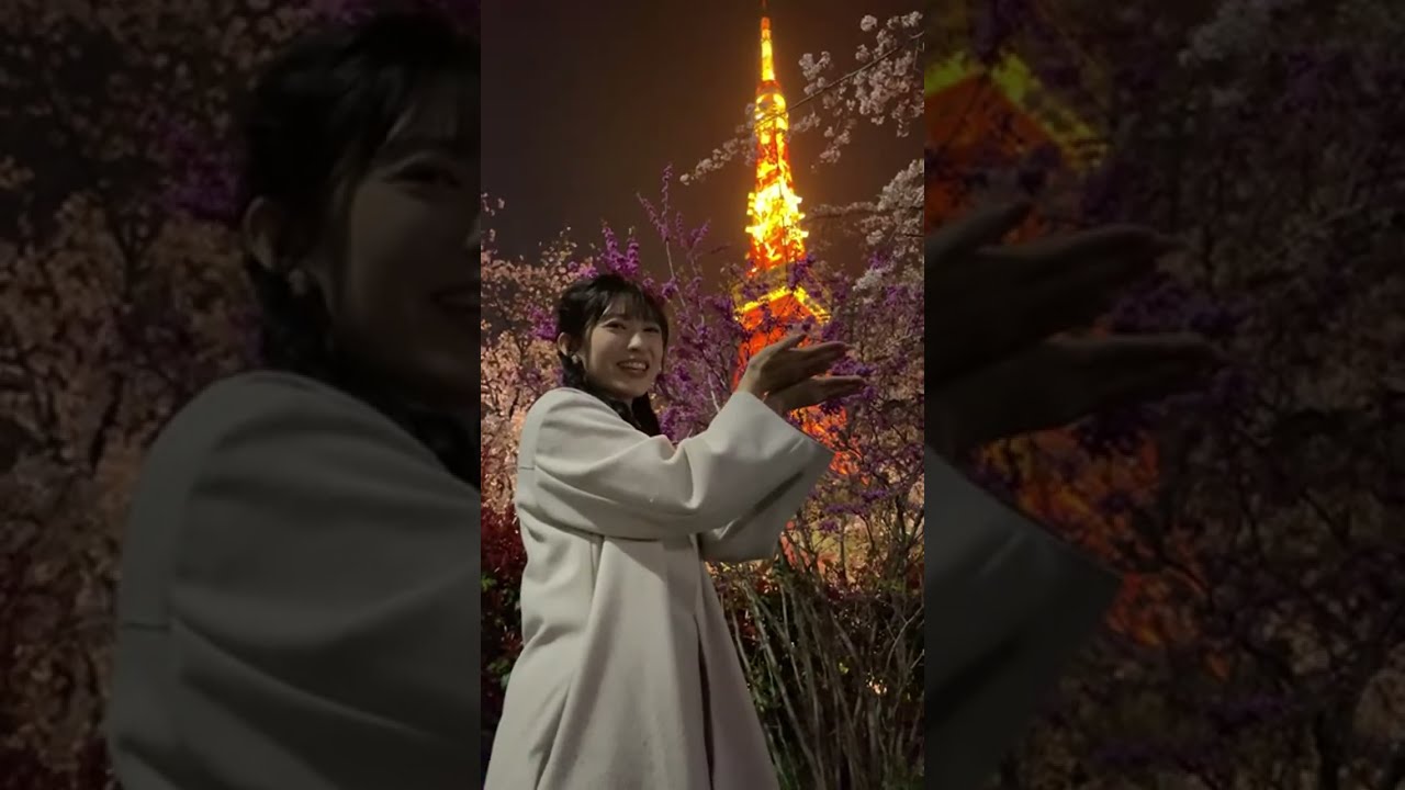 夜桜ライブ　東京タワーと満開の桜さんぽ/山岸愛梨