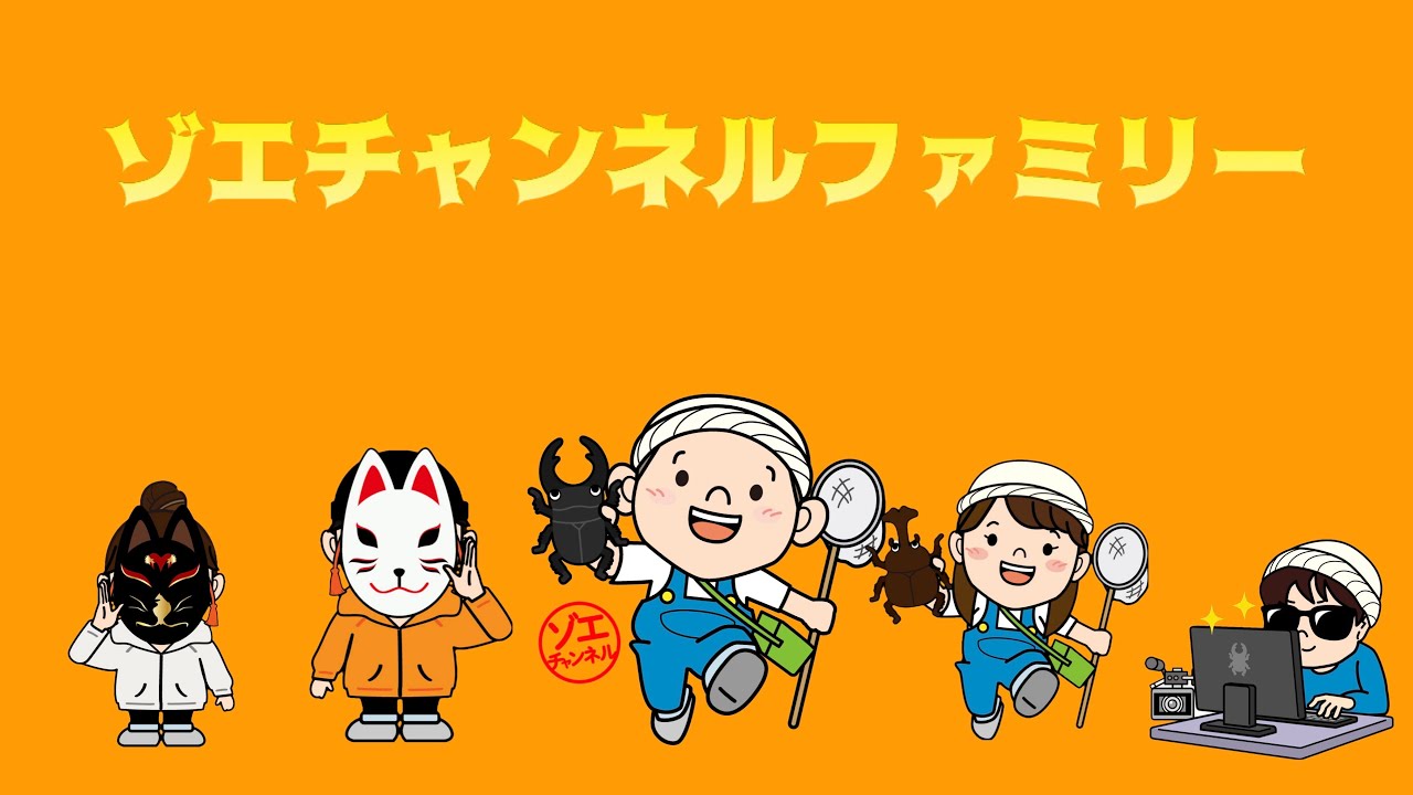 虫活ライブ