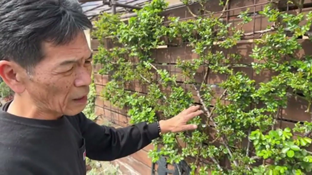 開花園本店から