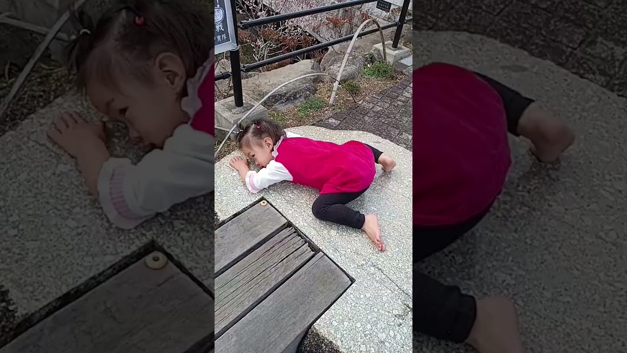 【2歳3ヶ月】どうしょう。どうしょう。パンがない…​テレビのマネしてる明心ちゃん💖#北斗明心 #赤ちゃん動画 #2歳 #面白い #良く動く #静かに遊ぶ #数える #マネ #真似
