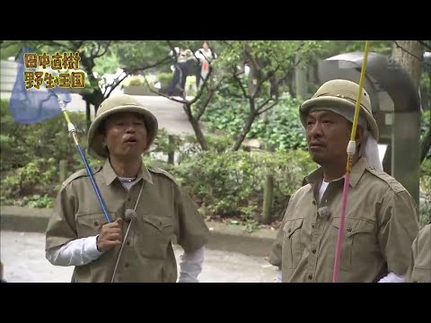 【ガキの使い】「浜田雅功ｘ松本人志」『田中直樹 野生の王国～!』