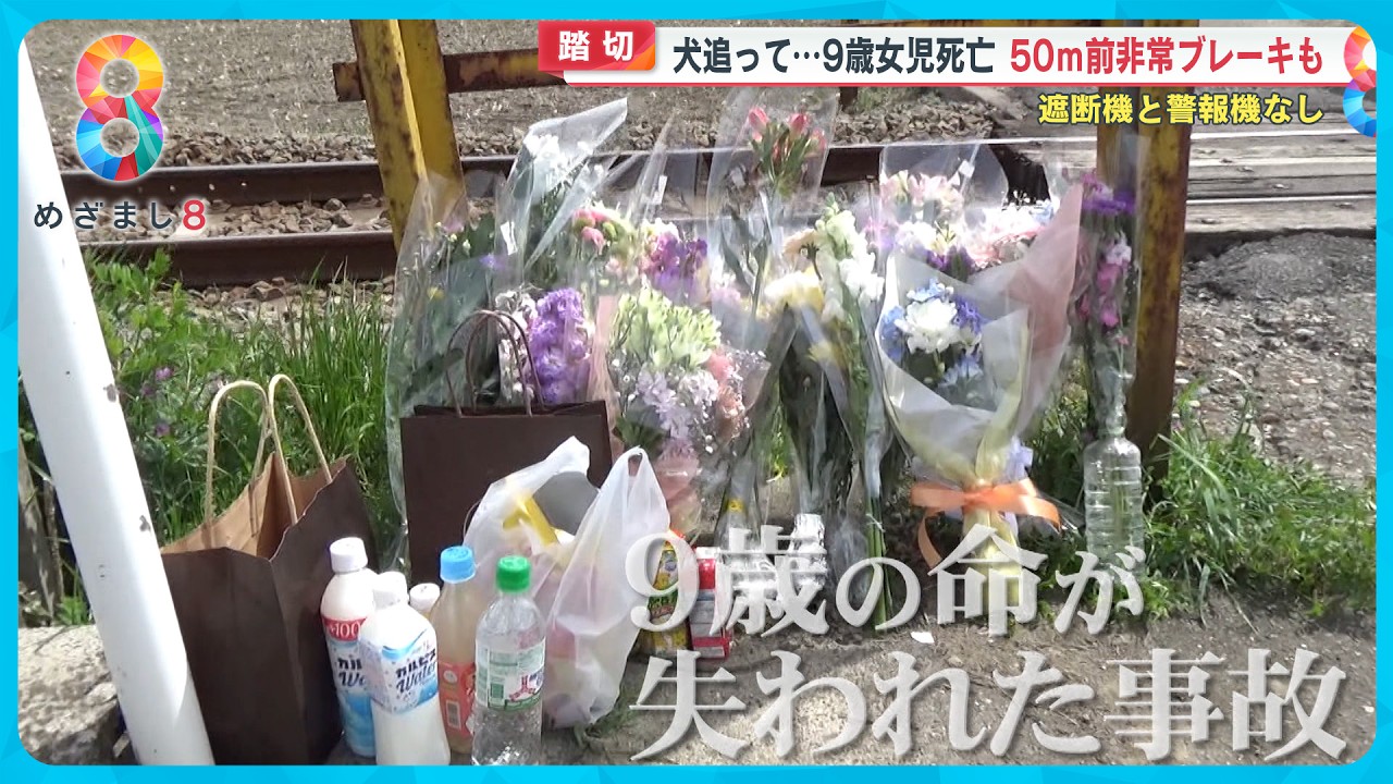 【犬を追って】9歳女児列車にひかれ死亡 警報機も遮断機もない踏切…なぜ防げない？【めざまし８ニュース】