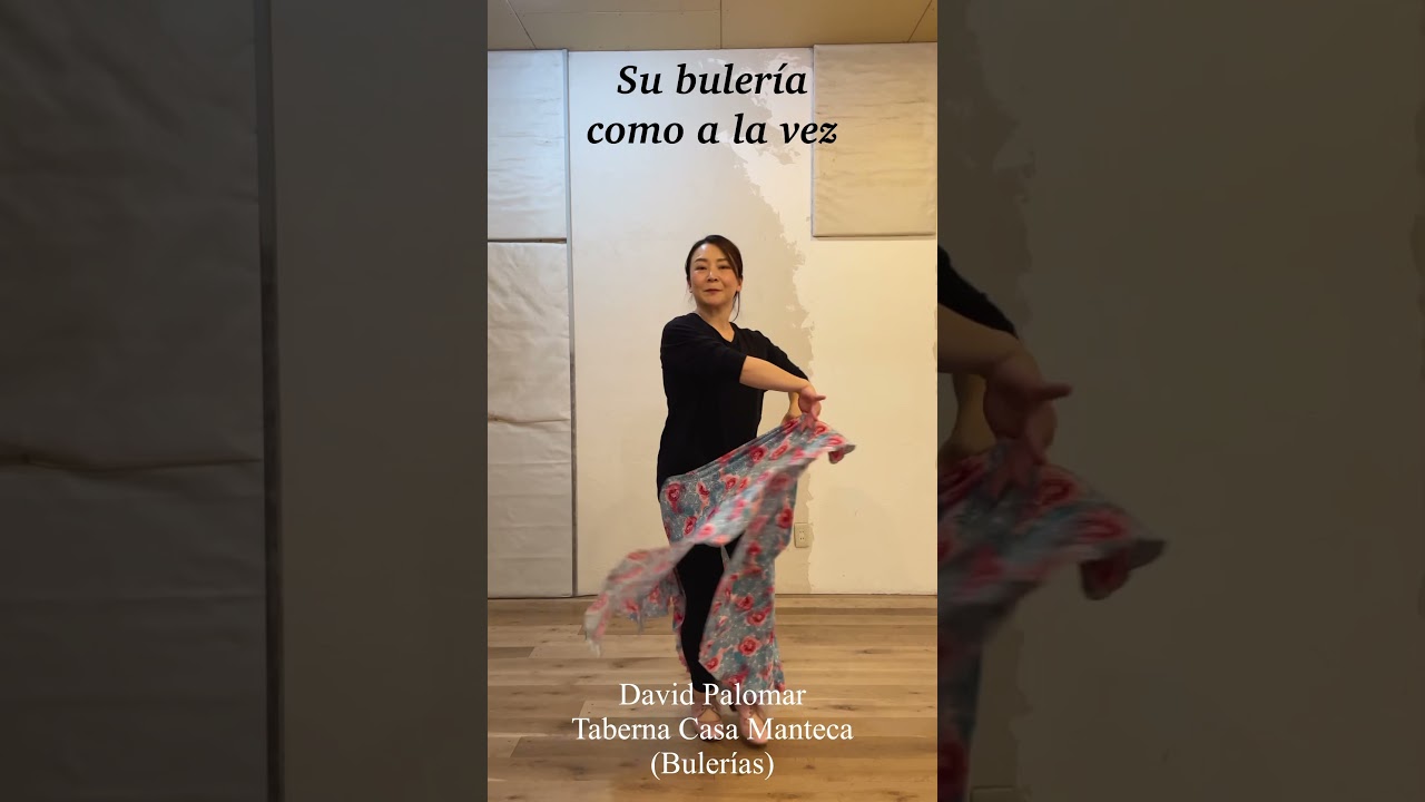 【ブレリア】歌詞は聞き取ったので間違っているかも！David Palomar #bulerias #buleria #フラメンコ #ブレリア #フィンデフィエスタ