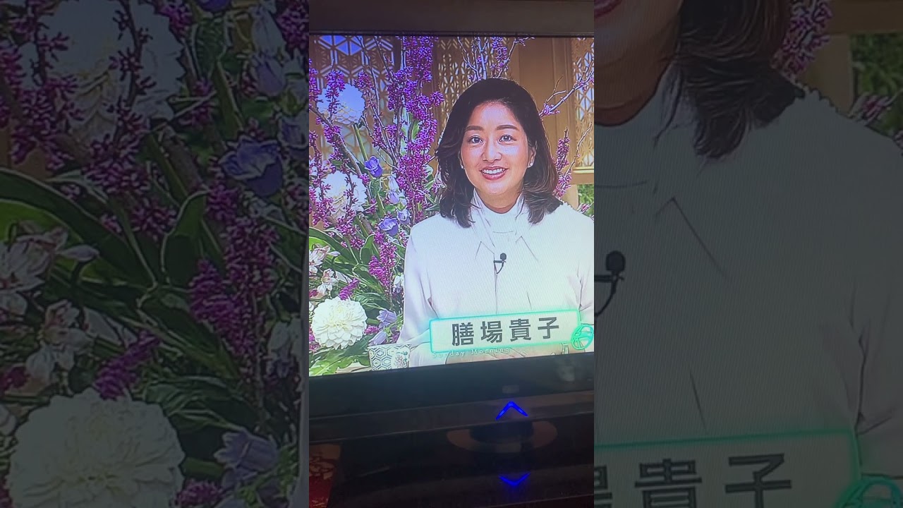 📺 TBS サンデーモーニング サンモニ 新キャスター 膳場貴子さん😘🌸 新時代⁉️ 2024年4月7日