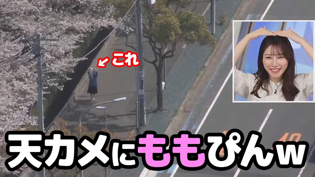 【魚住茉由・青原桃香】天カメにももぴんが元気いっぱいに映る姿を見つけるお天気キャスター