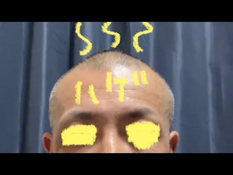 ピットブルやヤストはなぜ非を認めないのか💢　　　　　このままでは許せん‼️ 築地へ💢