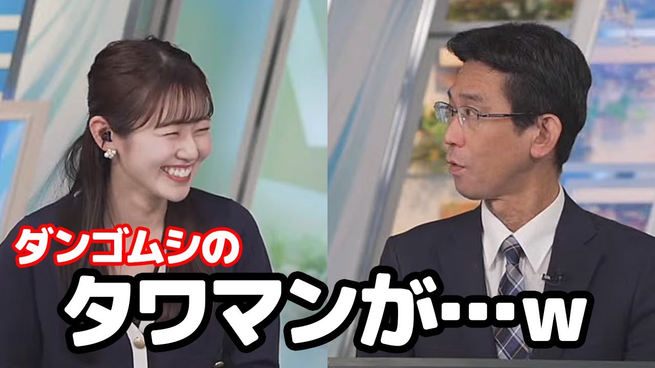 【青原桃香・山口剛央】ダンゴムシのタワーマンションを発見した事を報告をするお天気キャスター