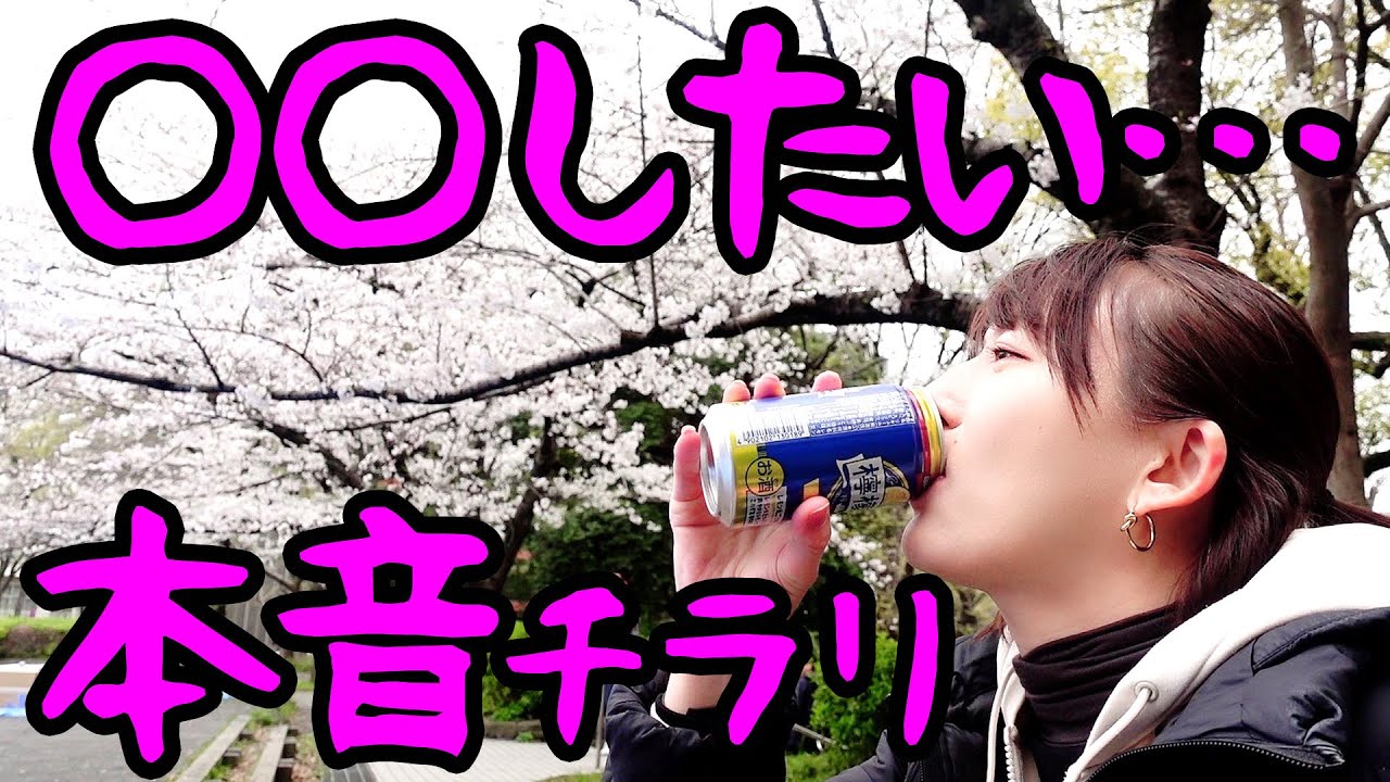 花見酒でお仕事への本音語りと人間観察