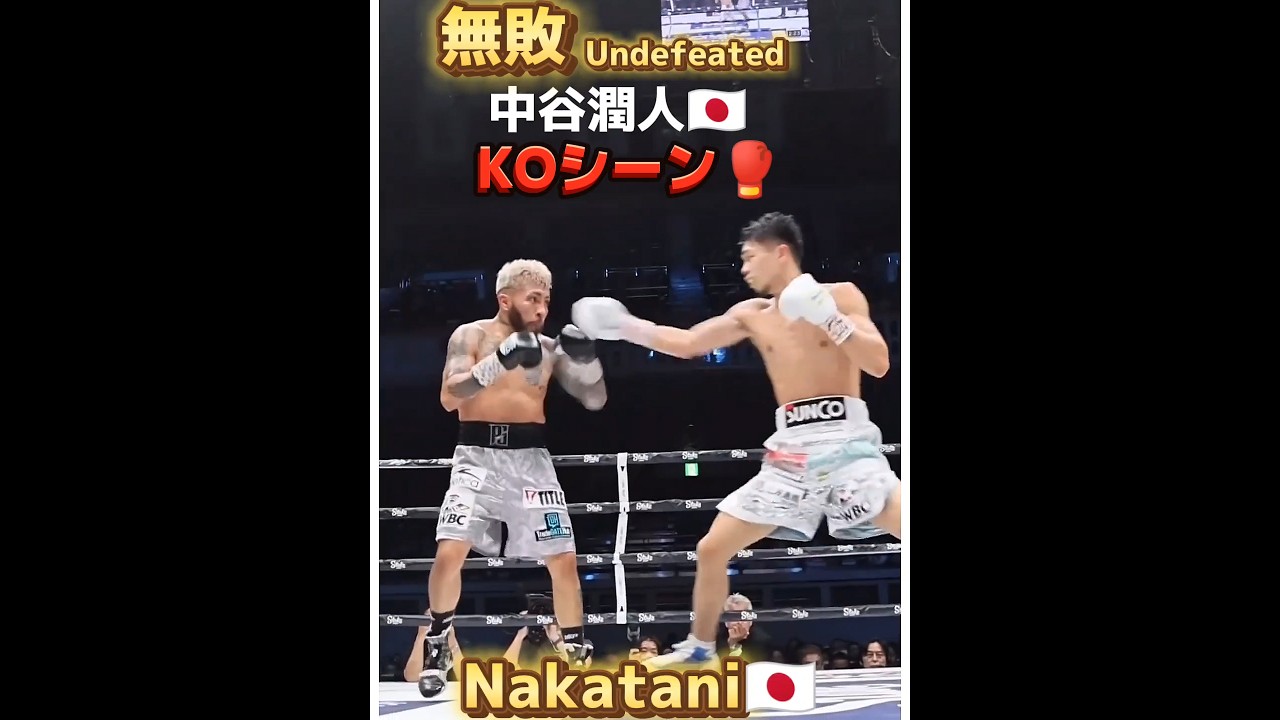 【無敗】中谷潤人🇯🇵 KOシーン!!! 53Kg Junto Nakatani Boxing KO Scene