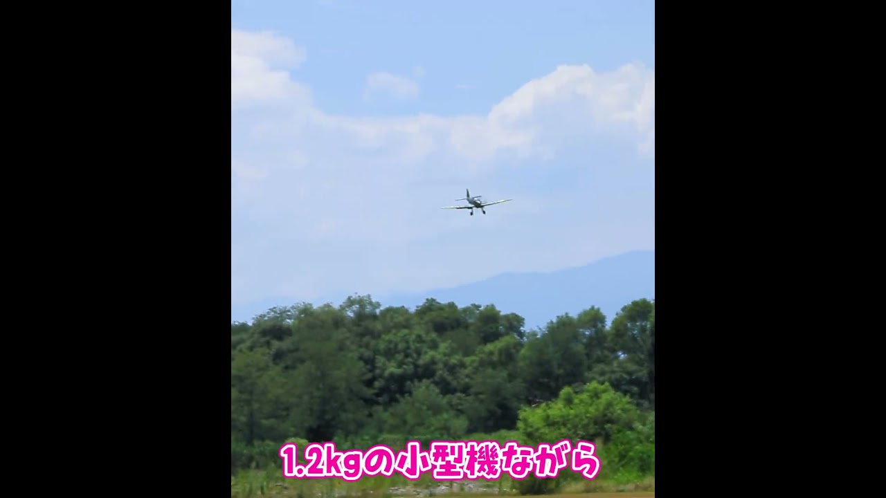 ラジコン飛行機の着陸 #ラジコン #ラジコン飛行機