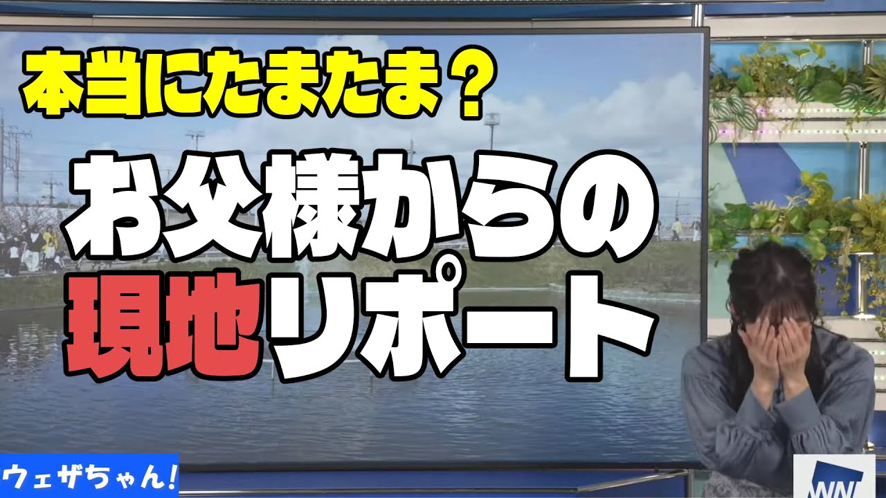 ※家族総出で作るお天気番組です【山岸愛梨】【ウェザーニュース】【切り抜き】
