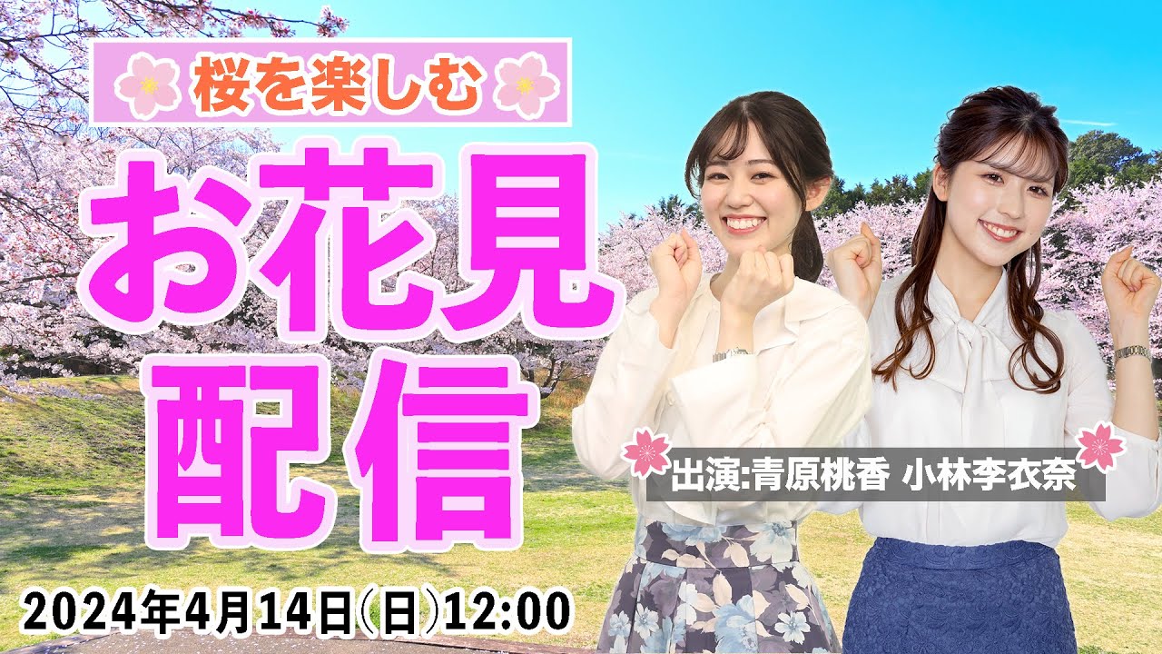 【桜放送】桜を楽しむ🌸お花見配信 (青原桃香 × 小林李衣奈) 2024年4月14日(日)12:00