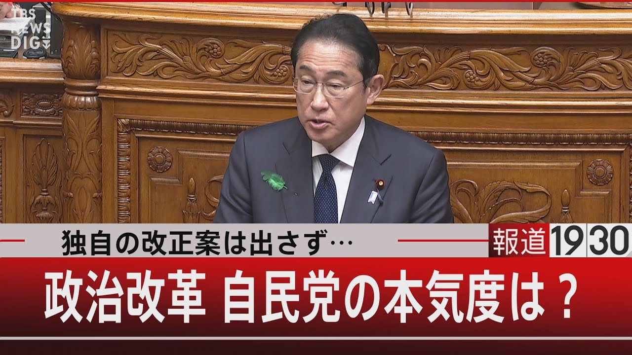 独自の改正案は出さず…政治改革 自民党の本気度は？【4月17日（水）#報道1930】| TBS NEWS DIG