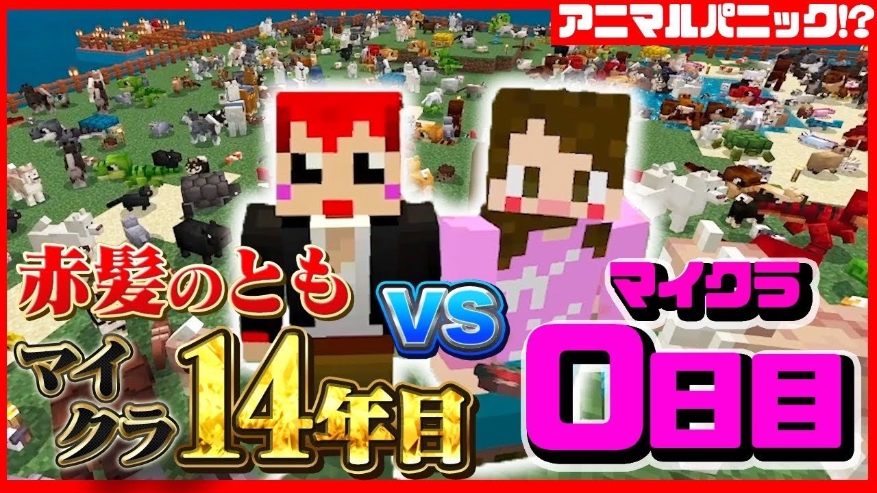 マイクラ14年目のベテランがマイクラ０日目の超初心者と対決してみた!!【赤髪のともvs宇内アナ】
