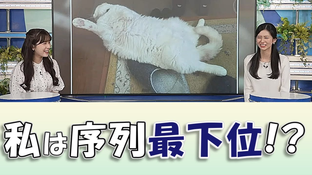 【#大島璃音 & #松雪彩花】私は序列最下位!?【#ウェザーニュースLiVE 切り抜き】