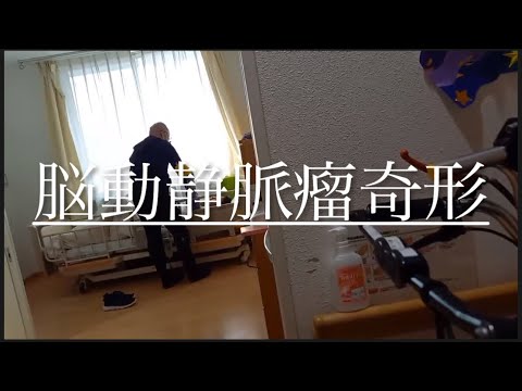 【柴犬飼い主54歳】柴犬の仲間　10万人に１人の割合の脳動静脈奇形いたたまれない