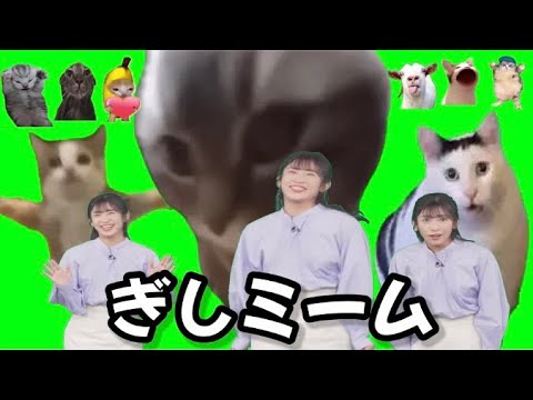 【山岸愛梨】自らフリー素材を提供するお天気お姉さん【ぎしミームで遊んでみた】【猫ミーム】