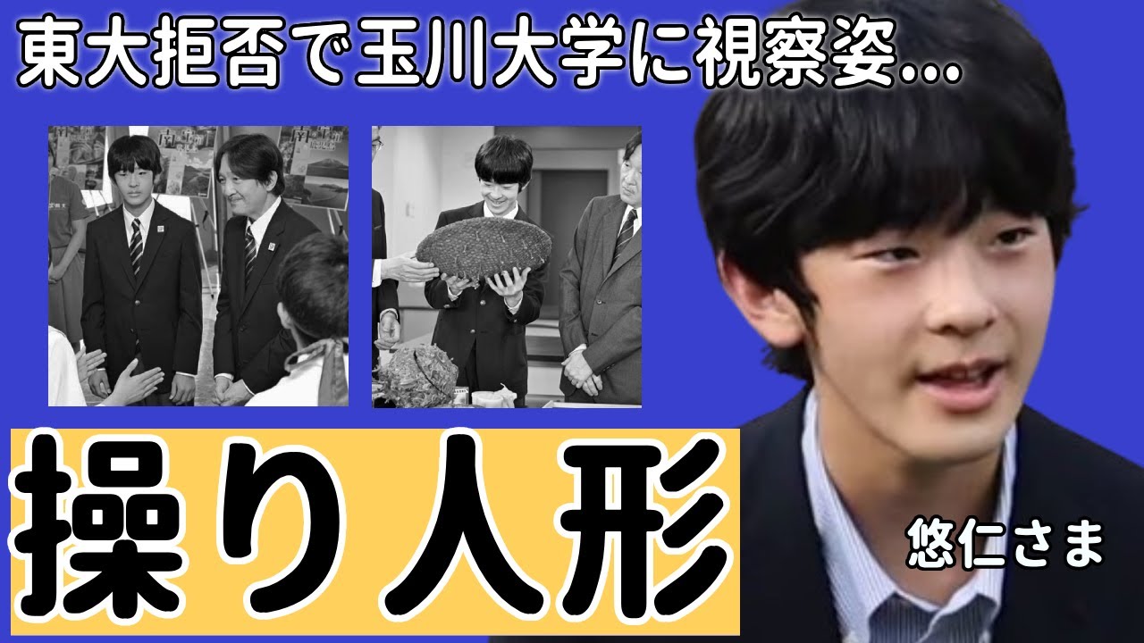 悠仁さまが東大から入学拒否で殿下と共に玉川大学視察の姿...紀子さまの操り人形と言われる実態に一同驚愕...！「こんな雑魚大学に！」と紀子さまの絶叫に言葉を失う...
