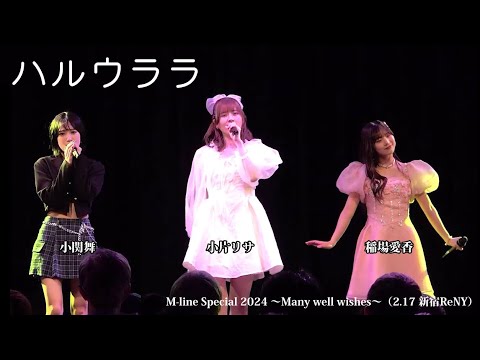 「ハルウララ」　小関舞・小片リサ ・稲場愛香　 (M-line Special 2024 ～Many well wishes～（2.17 新宿ReNY）