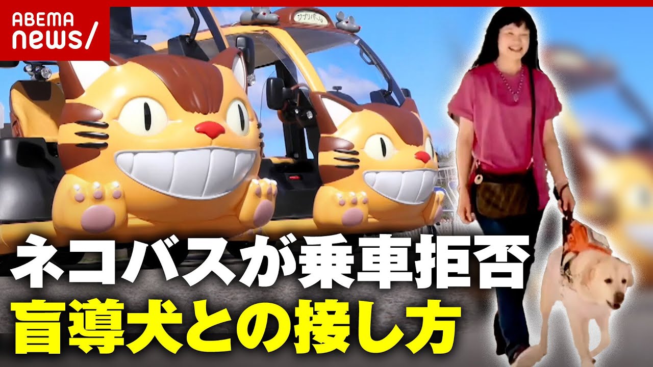 【物議】“ネコバス”が乗車拒否「声掛け 触る」のはNG 知っておきたい盲導犬との接し方｜ABEMA的ニュースショー
