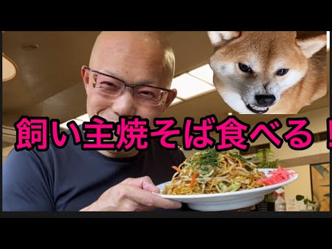 【柴犬飼い主54歳】1週間ぶりの外食で町中華大盛焼きそば食べてみた！