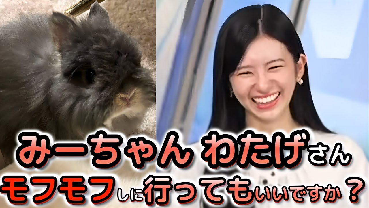 【大島璃音】うさぎさんをモフモフしたい"お天気お姉さん"【ウェザーニュース切り抜き】