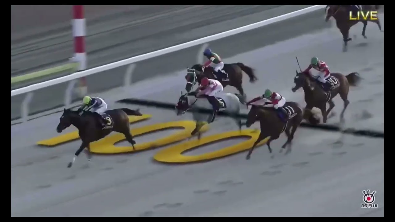 jbcスプリント2023 イグナイター 青嶋達也 園田競馬場の悲願