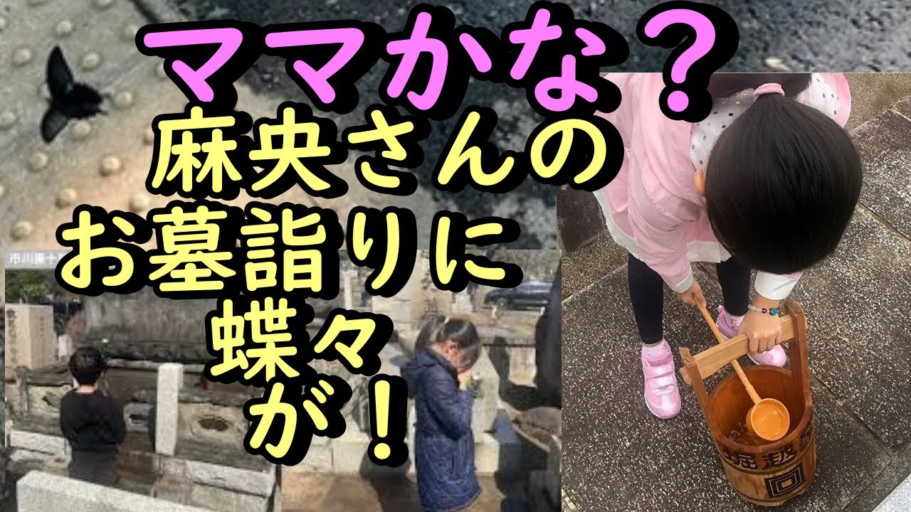 麻央さんのお墓参りで白い蝶が…「ママかな？と・・・