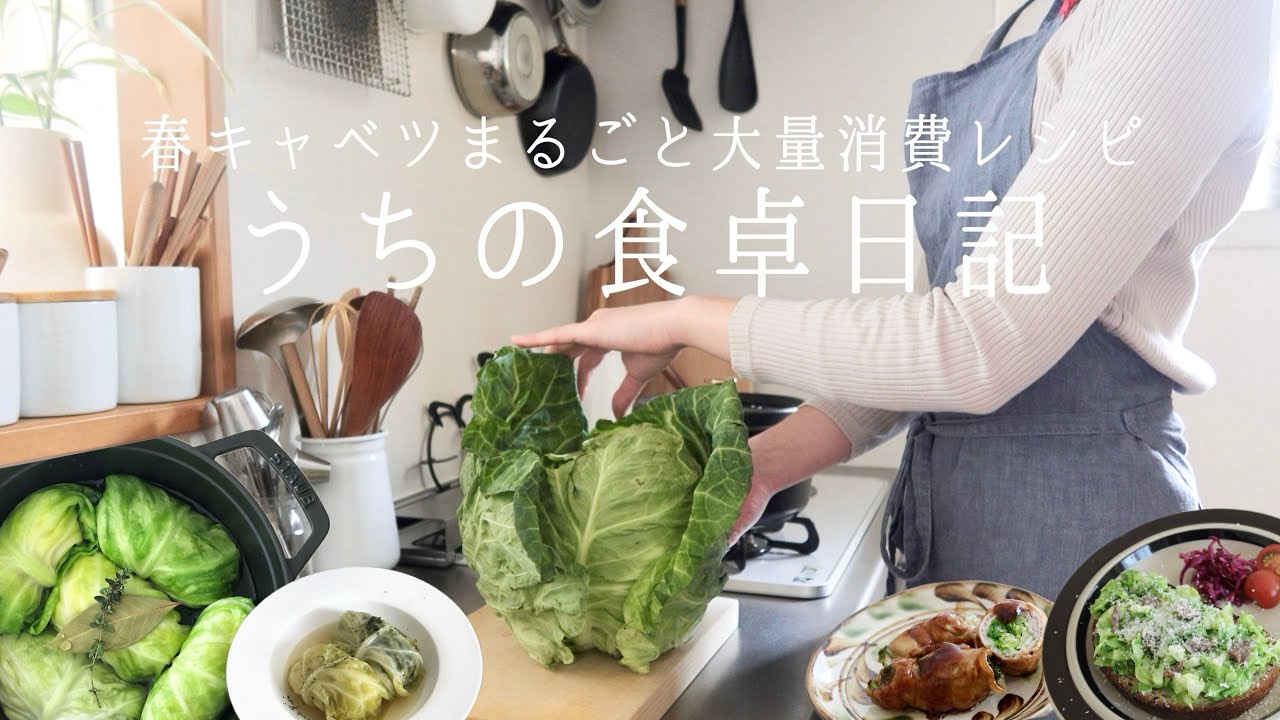 【1週間の献立】今が旬の春キャベツ🥬和•洋•中いろんなお料理に！