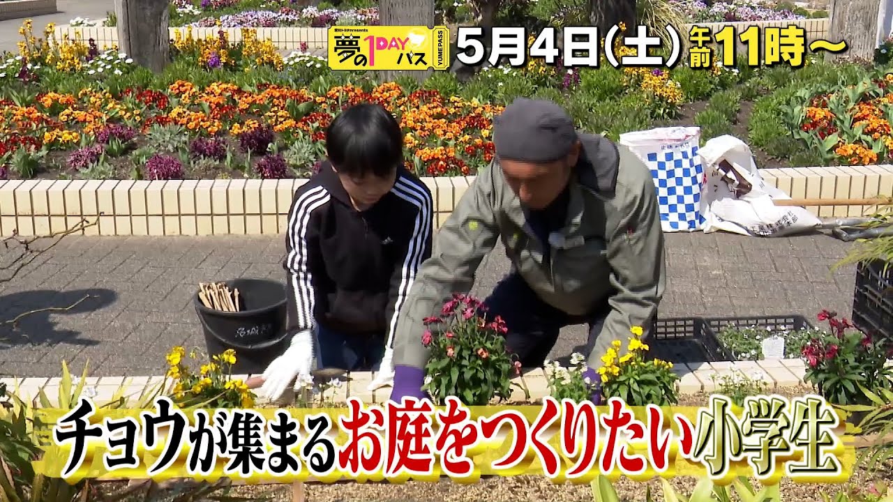 【予告】「夢の１DAYパス」5月4日（土）午前11時～