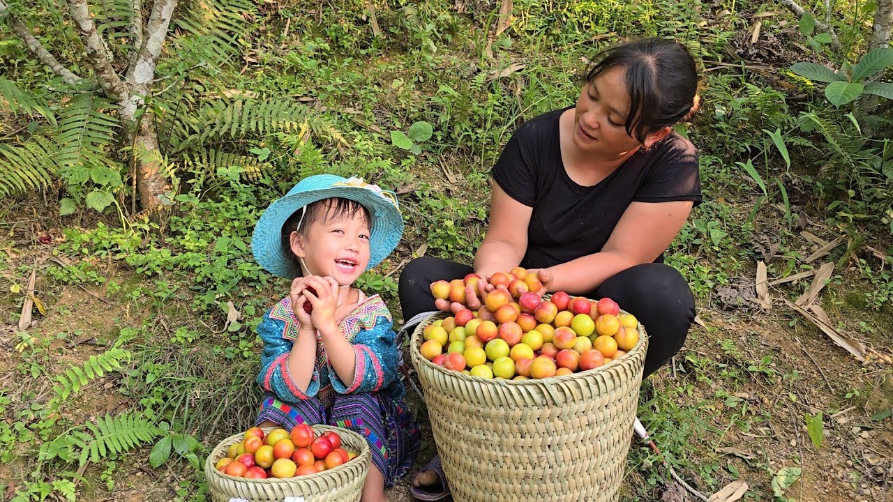 19 year old single mother - harvesting plums to sell at the market with her daughter Lisa-ly tieu ca