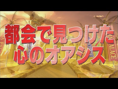 都会で見つけた心のオアシス【踊る!さんま御殿!!公式】