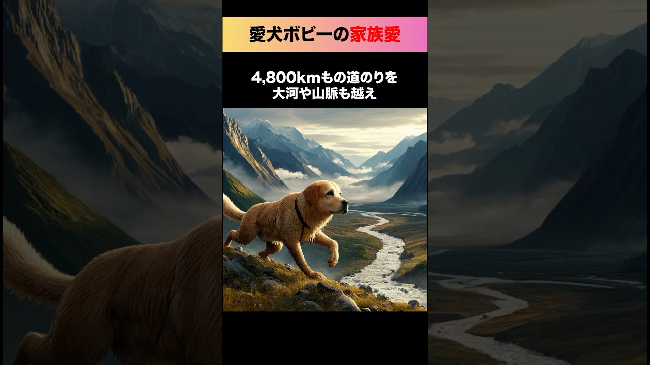 困難を越える家族愛のエピソード #感動する話 #shorts