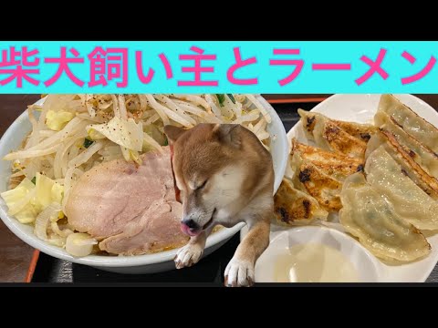 【柴犬飼い主54歳】飼い主がフードコートでラーメン食べていたら、お声かけられました！