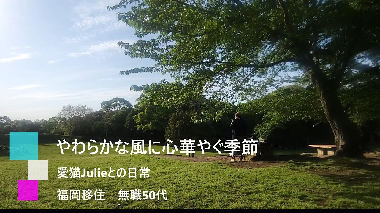 vlog【ラストは韓流ドラマ風】やわらかな風に心華やぐ季節　#福岡移住 　森や池に囲まれた自然豊かな公園【 大阪のタワマン→福岡のアパート暮しvol.27】「西南杜の湖畔公園」